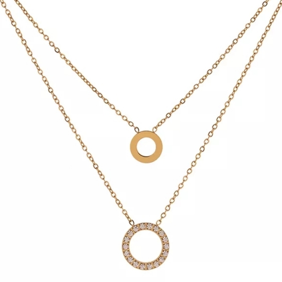 Delicate Layered Necklace - Picture 6 of 6